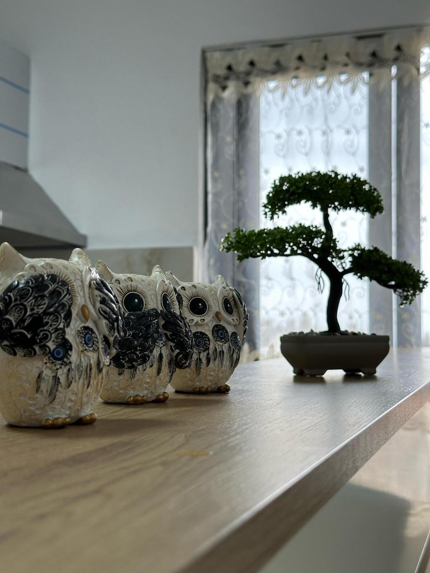 Enma Rooms Kruje Exterior photo